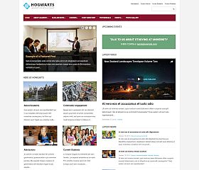 Elementary WordPress Theme by Academia Themes