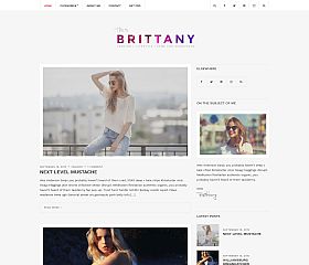 Brittany Light WordPress Theme by cssigniter