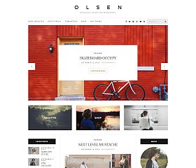 Olsen WordPress Theme by cssigniter