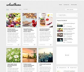 Urban WordPress Theme by MyThemeShop