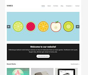 Vimes WordPress Theme by WPZOOM